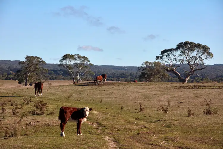 Fourth view of Homely rural property listing, 65 Lawson Road, Gisborne VIC 3437