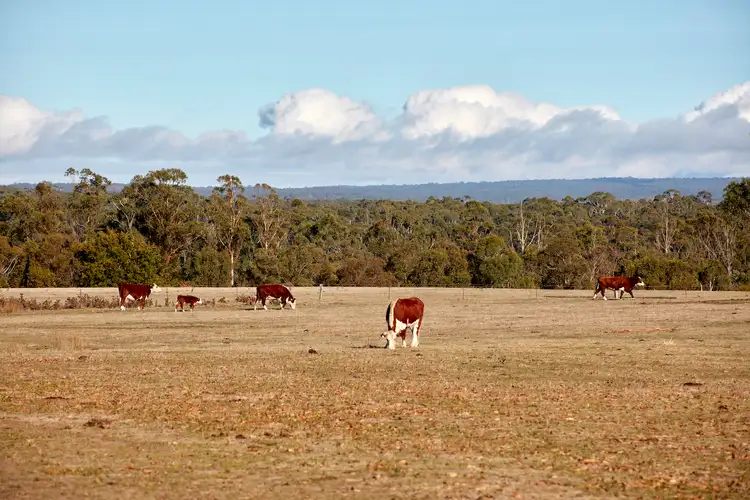 Sixth view of Homely rural property listing, 65 Lawson Road, Gisborne VIC 3437