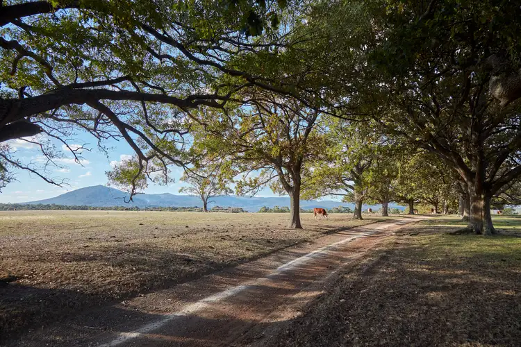 Third view of Homely rural property listing, 233 Ross Watt Road, Gisborne VIC 3437
