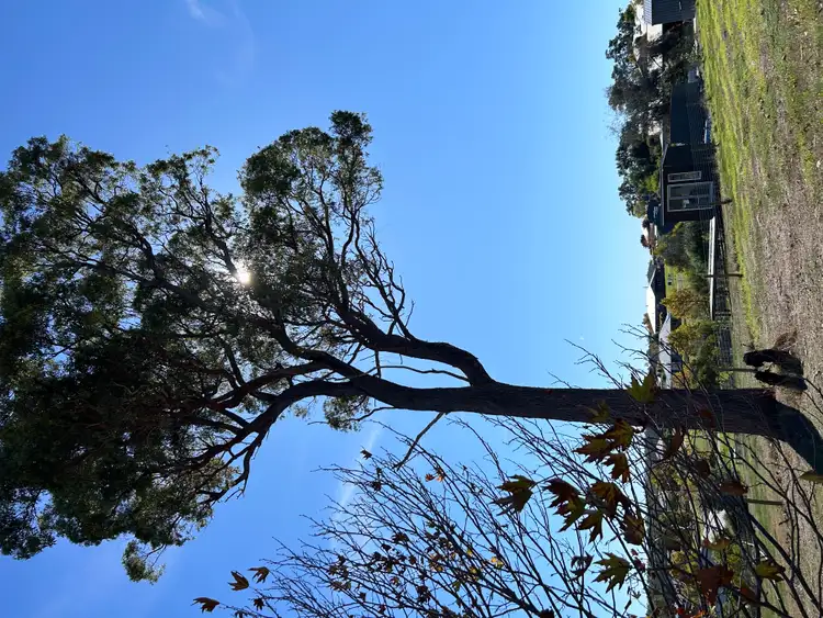 Third view of Homely land listing, 66 Balmoral Drive, Bridgetown WA 6255