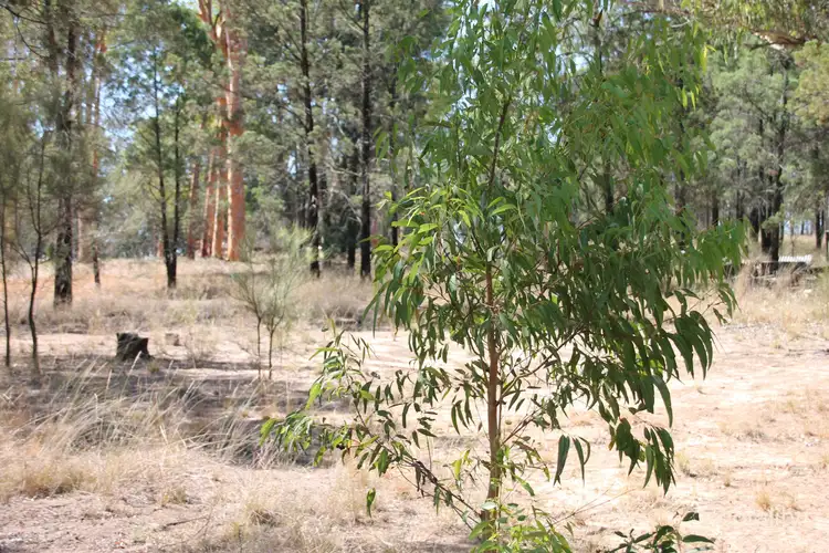 Fourth view of Homely land listing, 41 Gledsons Road, Inglewood QLD 4387