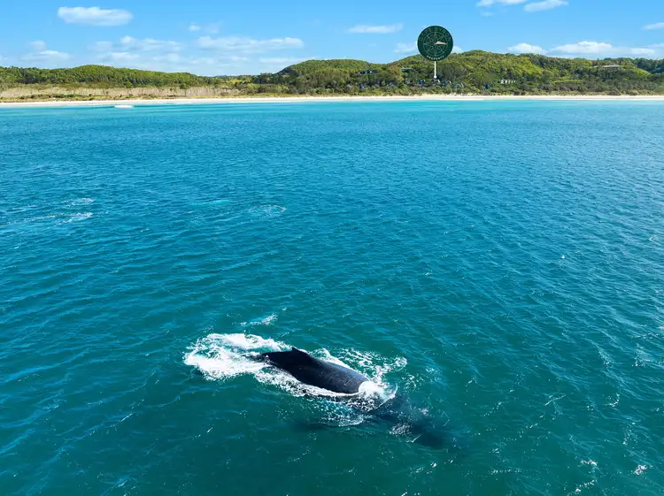 Third view of Homely house listing, 951 Broken Head Road, Broken Head NSW 2481