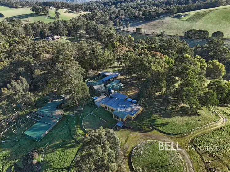 11 Taylor Road, Cockatoo VIC 3781