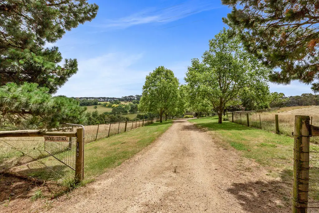 Main view of Homely house listing, 160 Punty Lane, Shoreham VIC 3916