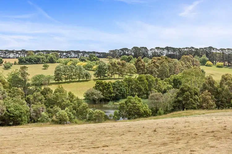 Third view of Homely house listing, 160 Punty Lane, Shoreham VIC 3916