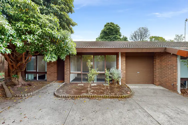 Main view of Homely unit listing, 3/64 Harp Road, Kew VIC 3101