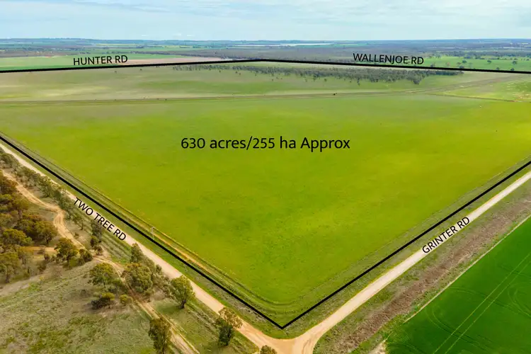 1 Hunter Road, Carag Carag VIC 3623