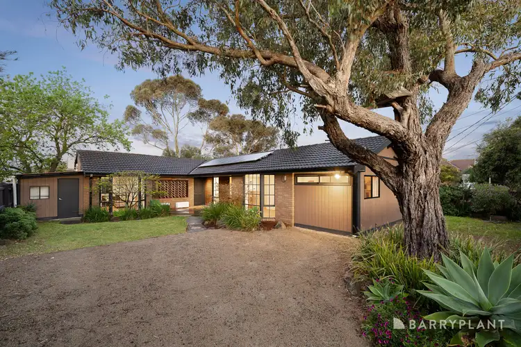 53 Larnook Crescent, Aspendale VIC 3195