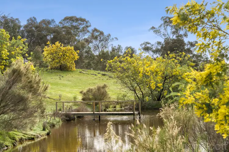Fifth view of Homely land listing, 595 Providence Gully Road, Yandoit Hills VIC 3461