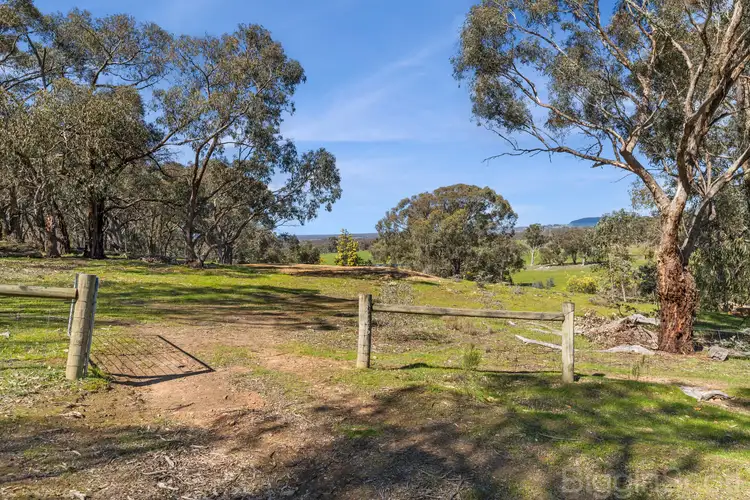 Seventh view of Homely land listing, 595 Providence Gully Road, Yandoit Hills VIC 3461