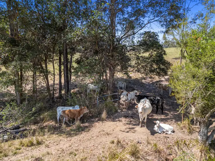 Fifth view of Homely rural property listing, 297 Tamaree Road, Tamaree QLD 4570