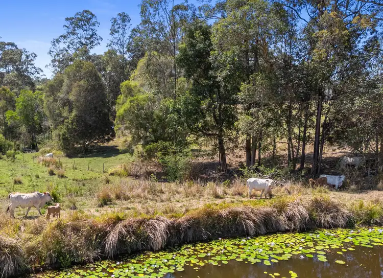 Sixth view of Homely rural property listing, 297 Tamaree Road, Tamaree QLD 4570