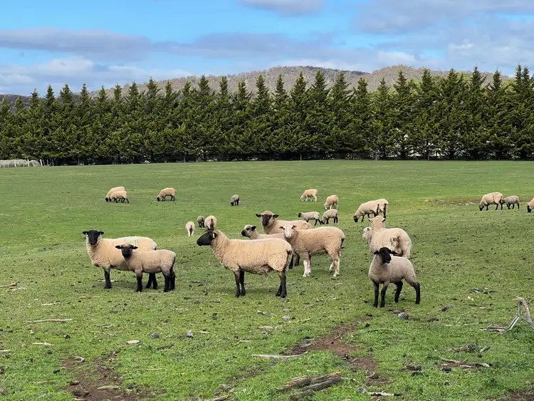 Main view of Homely land listing, Lot 2 Grahams Road, Lancefield VIC 3435