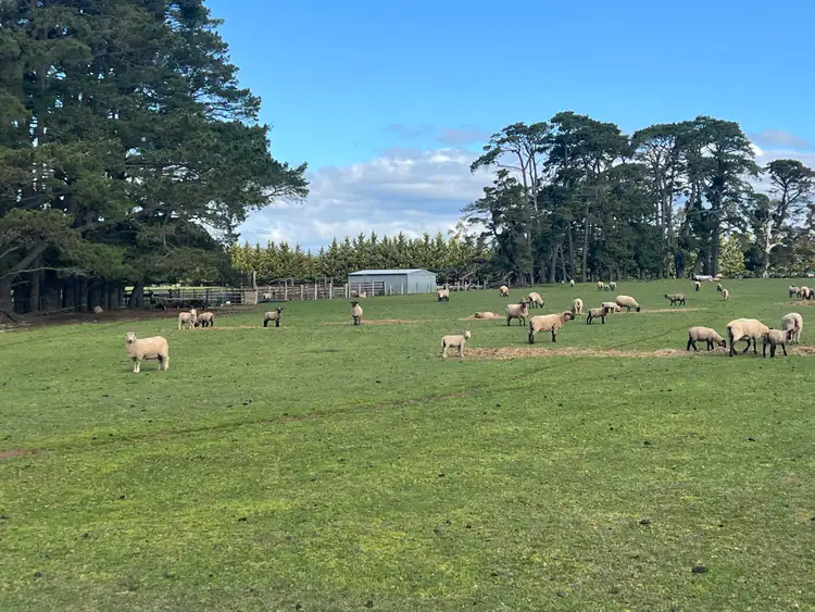 Second view of Homely land listing, Lot 2 Grahams Road, Lancefield VIC 3435
