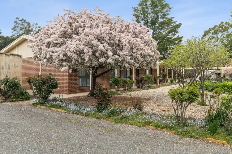 492 Maldon Newstead Road, Welshmans Reef VIC 3462