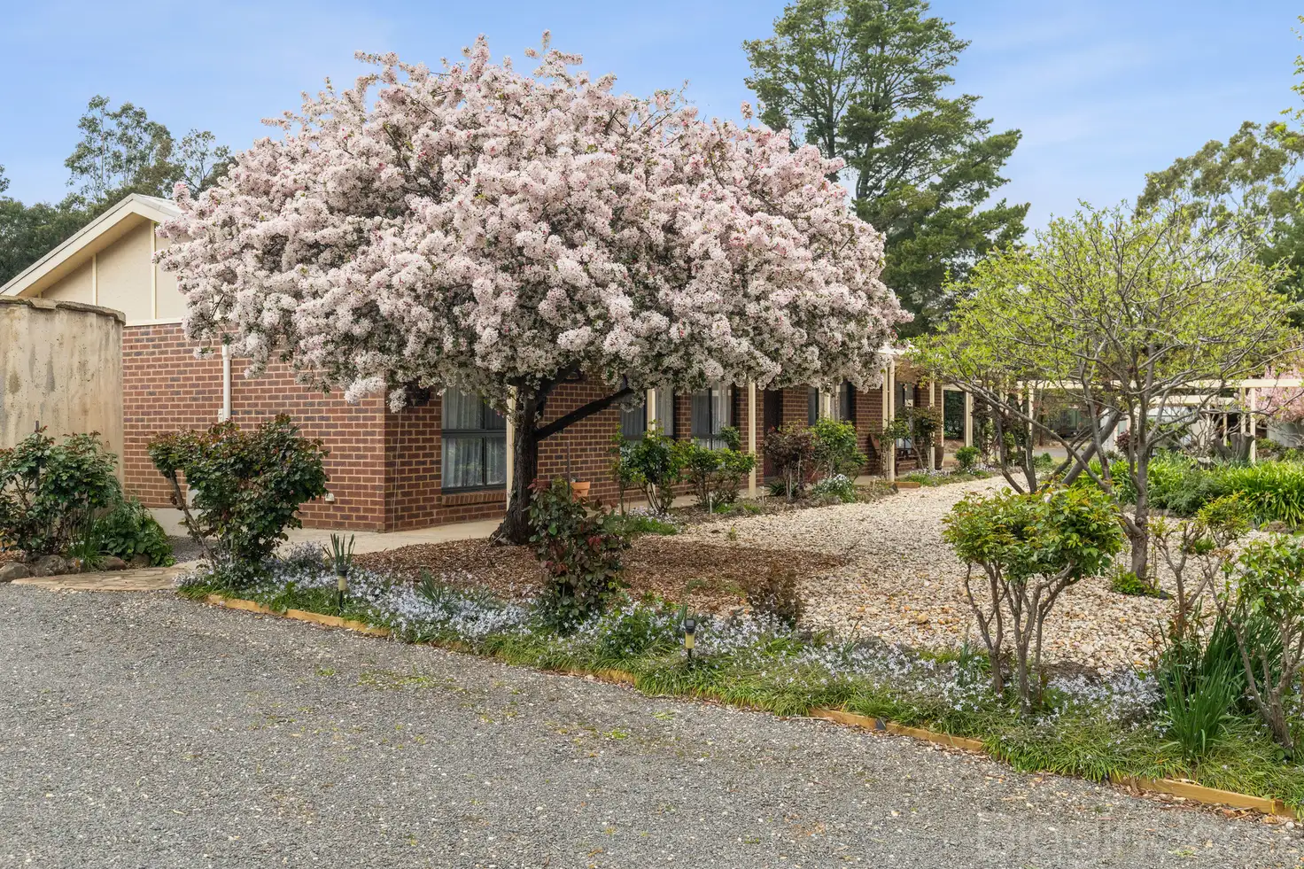 Main view of Homely house listing, 492 Maldon Newstead Road, Welshmans Reef VIC 3462