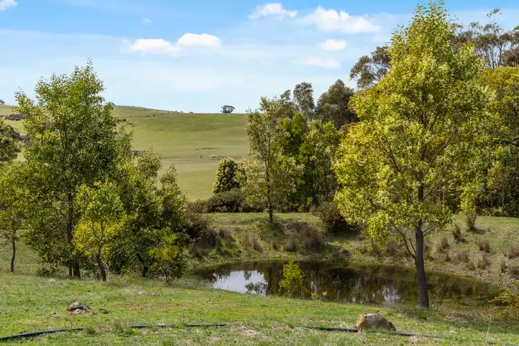 Fourth view of Homely rural property listing, 1126 Burke And Wills Track, Benloch VIC 3435
