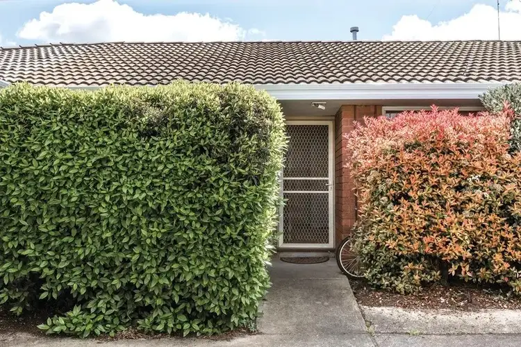3/808 Humffray Street, Mount Pleasant VIC 3350
