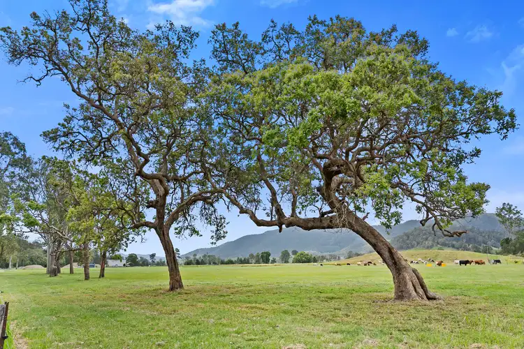 Main view of Homely rural property listing, 2170 Maleny Kenilworth Road, Conondale QLD 4552