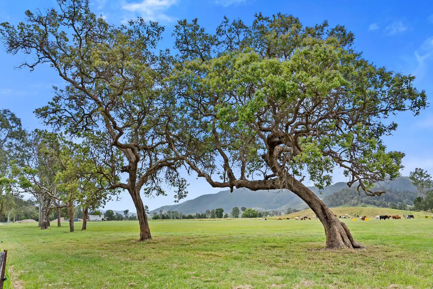Main view of Homely rural property listing, 2170 Maleny Kenilworth Road, Conondale QLD 4552