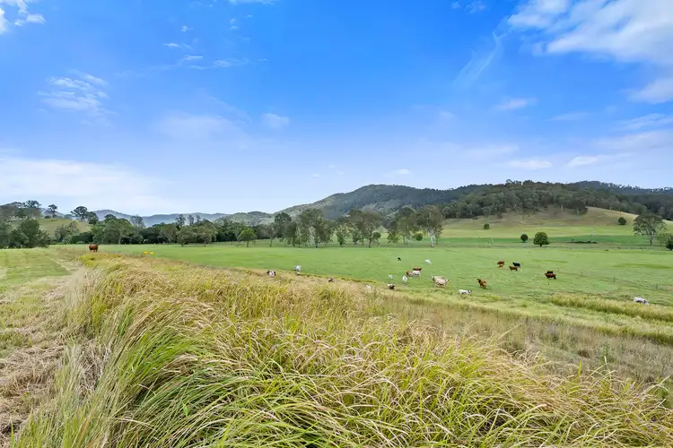 Fourth view of Homely rural property listing, 2170 Maleny Kenilworth Road, Conondale QLD 4552
