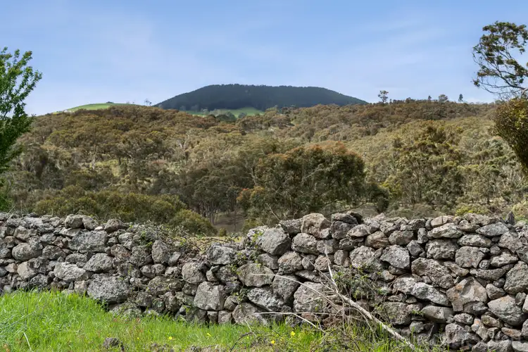 Fifth view of Homely land listing, 224 Hepburn-Newstead Road, Elevated Plains VIC 3461