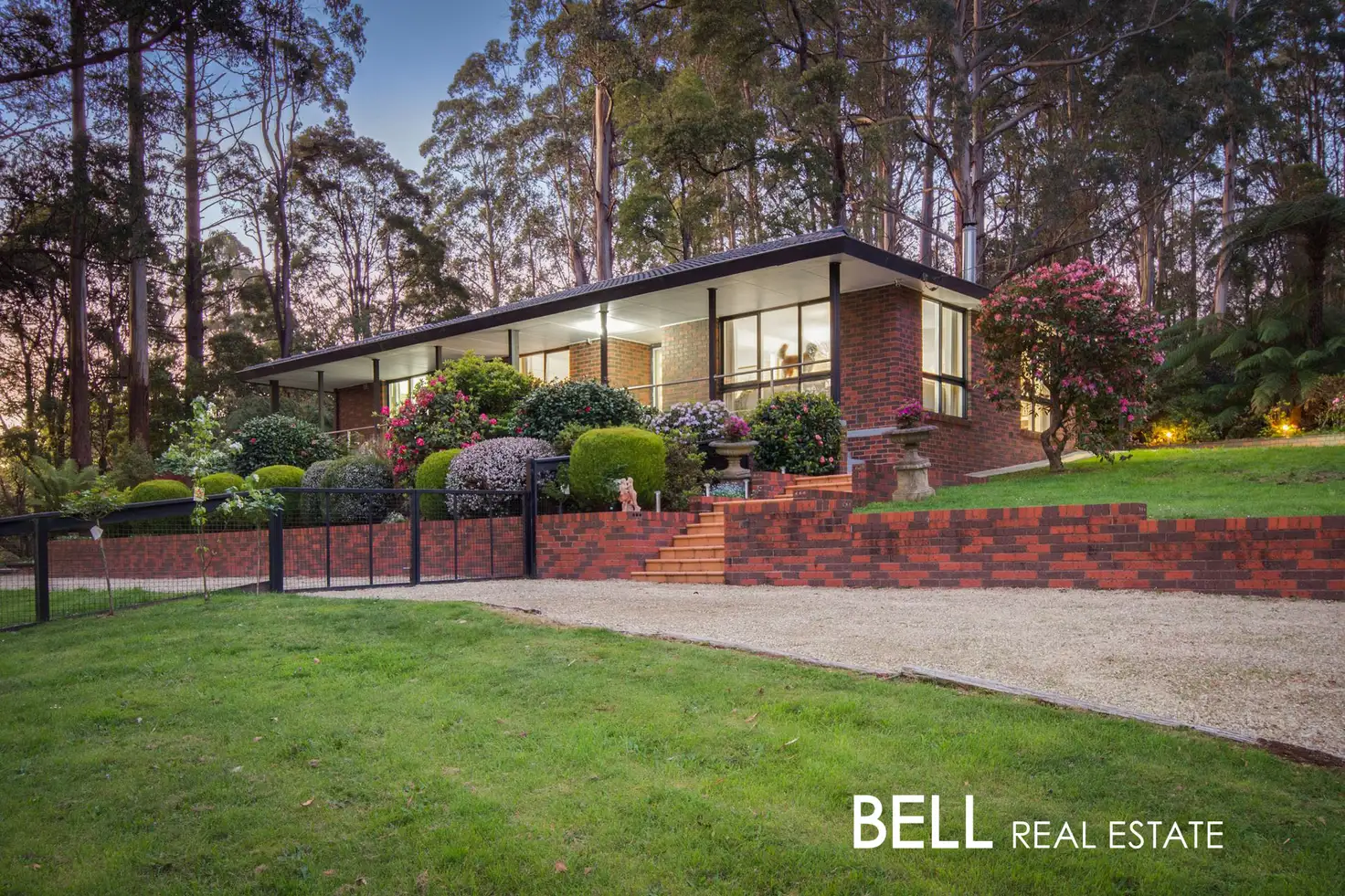 Main view of Homely house listing, 13 Mills Avenue, Sassafras VIC 3787