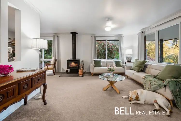 Fourth view of Homely house listing, 13 Mills Avenue, Sassafras VIC 3787