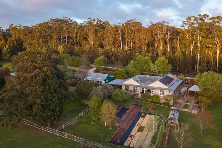 Third view of Homely house listing, 151 Foxs Lane, Musk Vale VIC 3461