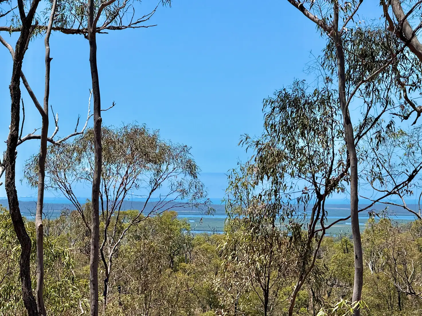 Main view of Homely rural property listing, 380 Wildman Road, Iveragh QLD 4680