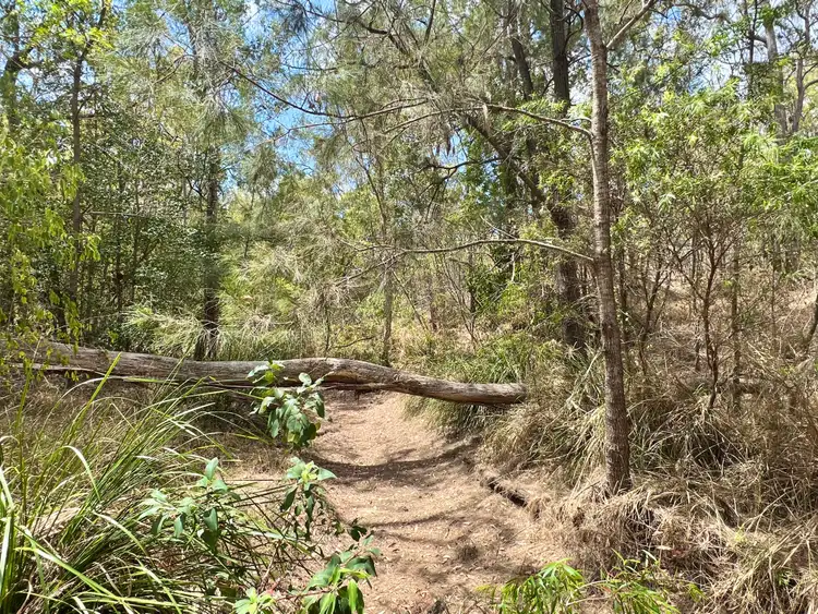 Fourth view of Homely rural property listing, 380 Wildman Road, Iveragh QLD 4680