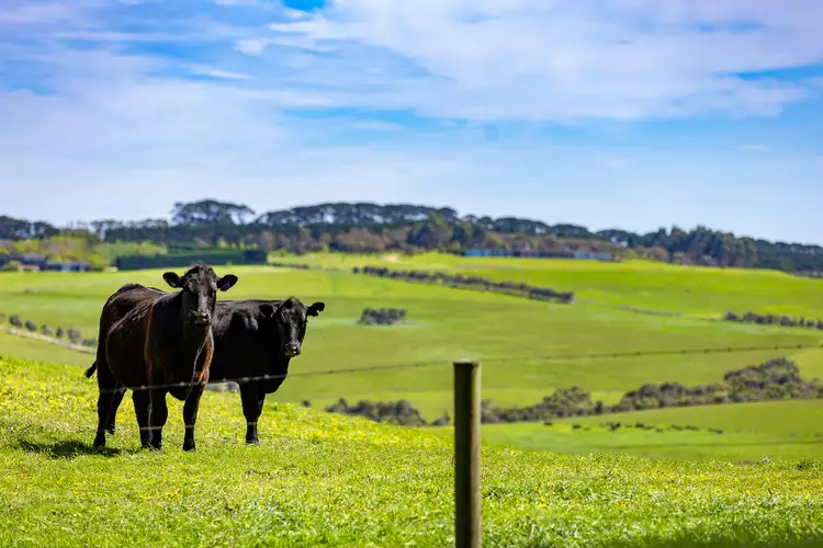 Fifth view of Homely rural property listing, 1747 Boneo Road and 390 Keys Road, Flinders VIC 3929