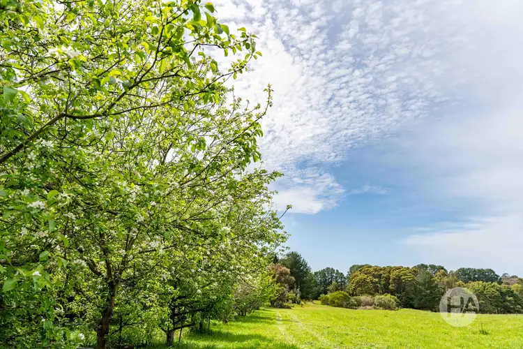 Fifth view of Homely rural property listing, 83 Merricks Road, Merricks North VIC 3926