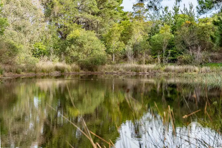 Seventh view of Homely rural property listing, 83 Merricks Road, Merricks North VIC 3926