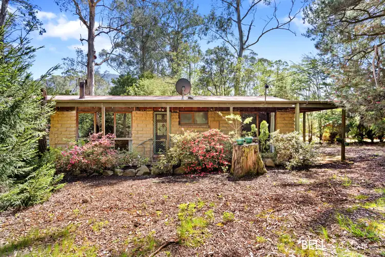 15 Rainbow Trout Avenue, East Warburton VIC 3799