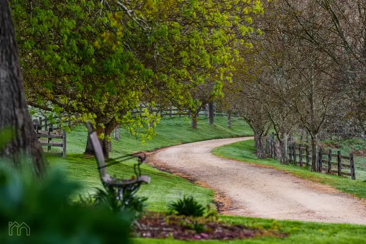 Fifth view of Homely house listing, 259 Back Glenlyon Road, Glenlyon VIC 3461