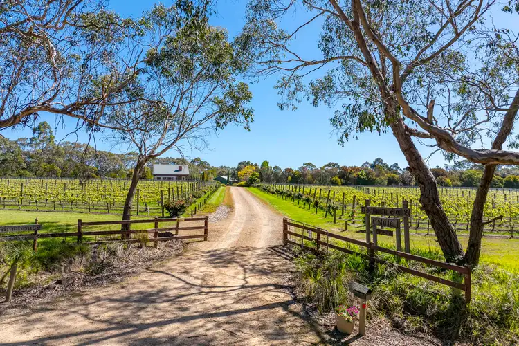 Third view of Homely rural property listing, 437 Stumpy Gully Road, Balnarring VIC 3926