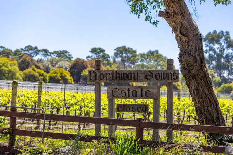 Fourth view of Homely rural property listing, 437 Stumpy Gully Road, Balnarring VIC 3926