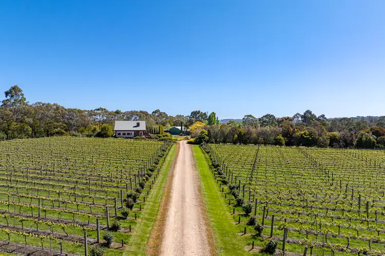 Fifth view of Homely rural property listing, 437 Stumpy Gully Road, Balnarring VIC 3926