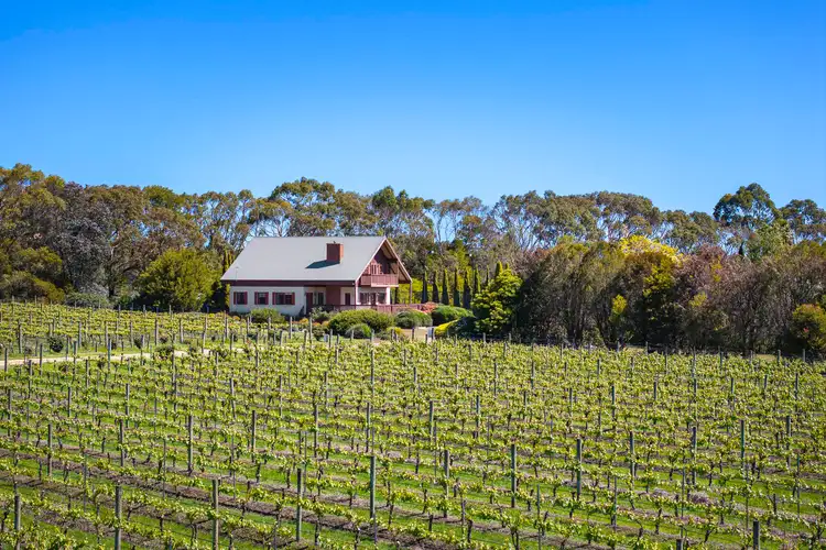 Sixth view of Homely rural property listing, 437 Stumpy Gully Road, Balnarring VIC 3926