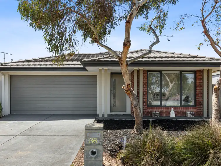 36 White Street, Torquay VIC 3228