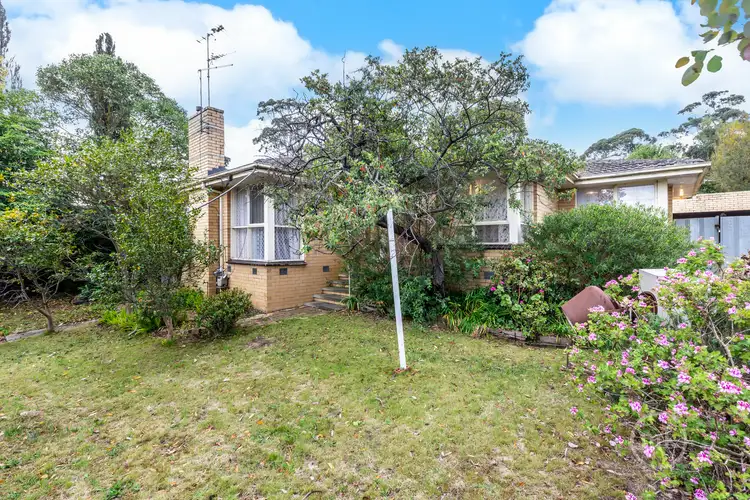 Second view of Homely house listing, 24 Williams Road, Briar Hill VIC 3088