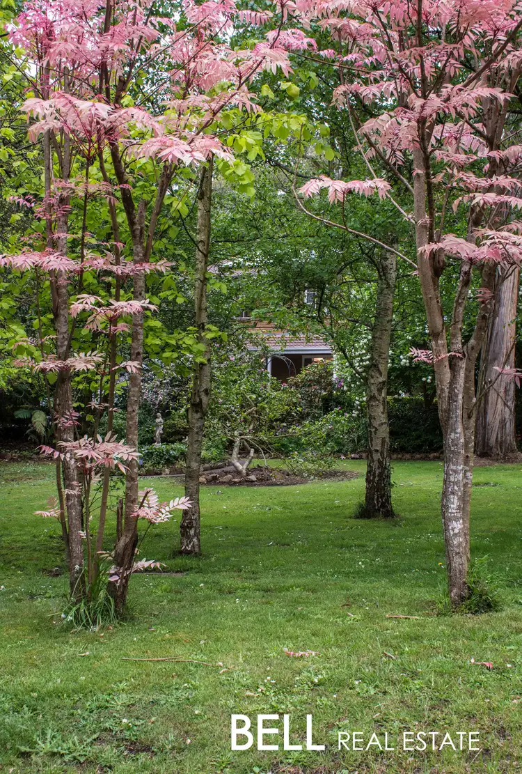 Fifth view of Homely house listing, 6 Mt Erin Road, Ferny Creek VIC 3786