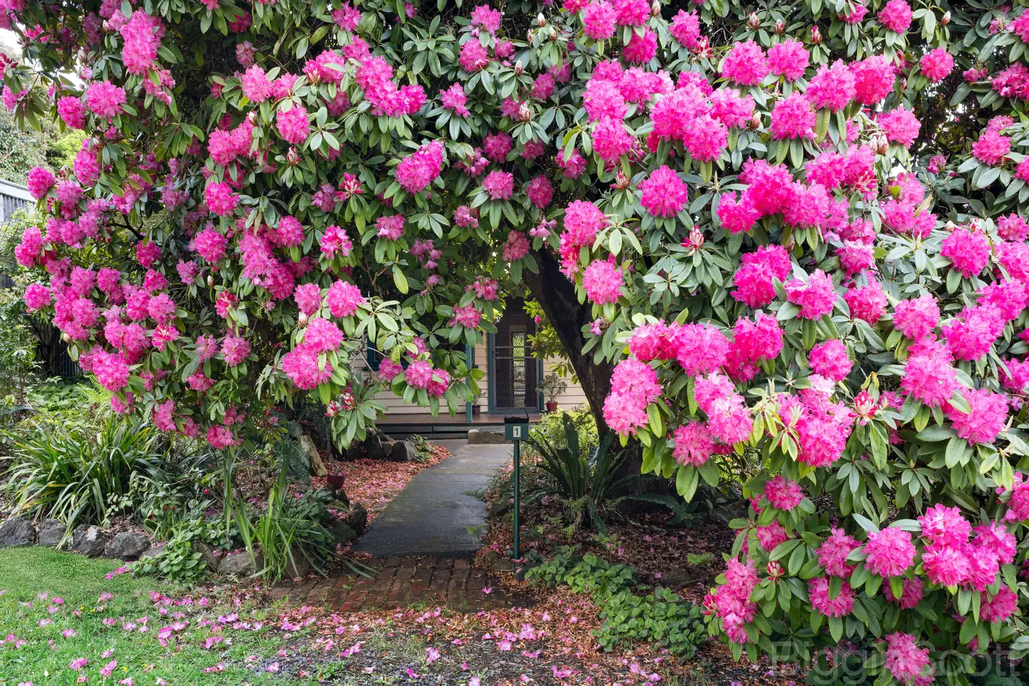 Main view of Homely house listing, 1 Central Springs Road, Daylesford VIC 3460