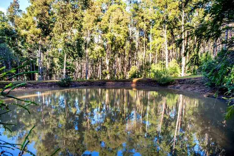 Seventh view of Homely rural property listing, Lot 24 Boundary Road, Cundinup WA 6275