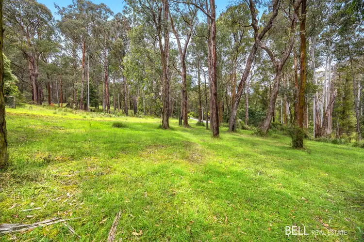 22 Fisherman Drive, Reefton VIC 3799