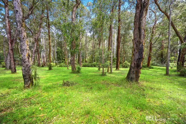 Fifth view of Homely land listing, 22 Fisherman Drive, Reefton VIC 3799
