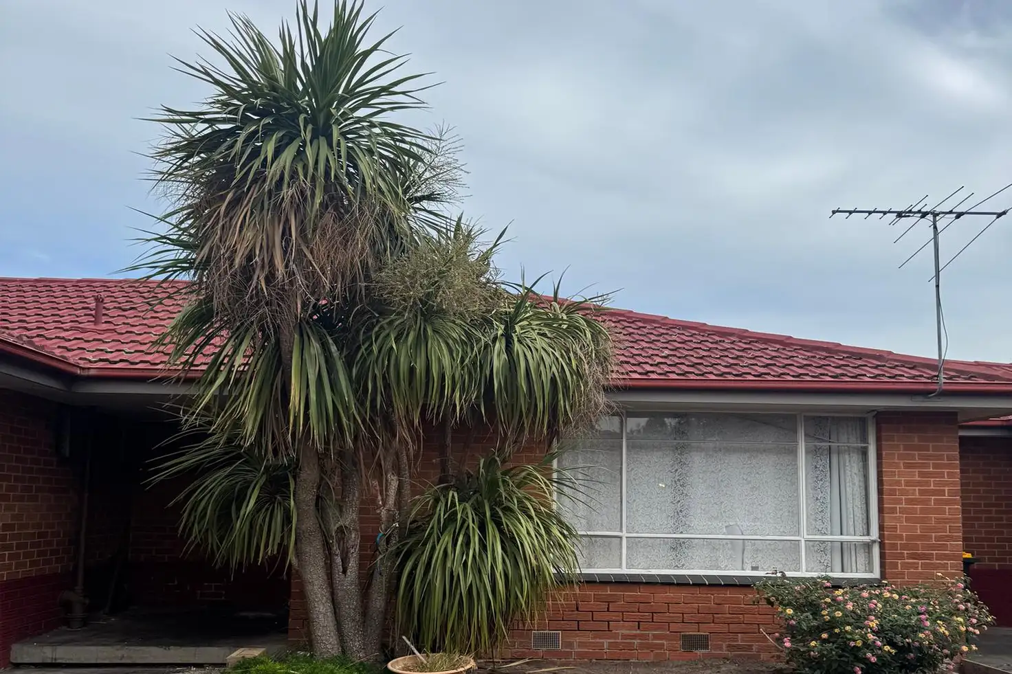 Main view of Homely unit listing, 3/1-3 Isla Street, Sunshine North VIC 3020