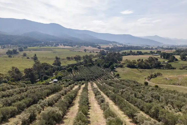 528 Redbank Mongans Road, Mongans Bridge VIC 3691