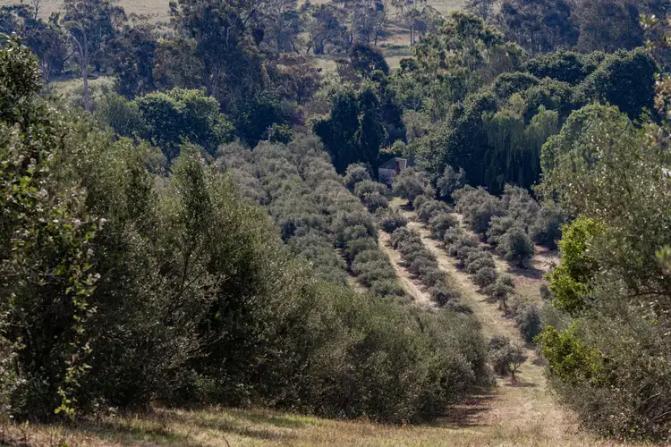 Fourth view of Homely rural property listing, 528 Redbank Mongans Road, Mongans Bridge VIC 3691